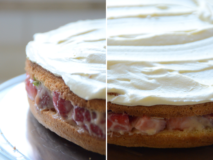 Erdbeer-Minze-Torte-Rezept Erdbeer-Minze-Torte-Rezept