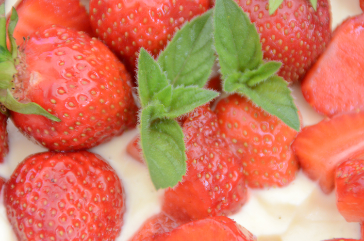 Erdbeer-Minze-Torte-Rezept Erdbeer-Minze-Torte-Rezept