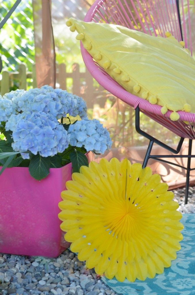 Gartenhortensie pflegen und Deko-Tipps