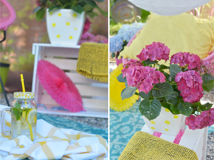 Gartenhortensie pflegen und Deko-Tipps