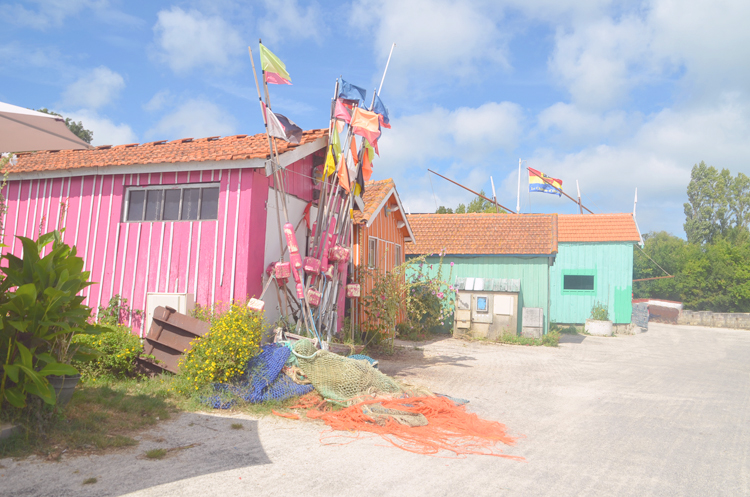 urlaub-mit-auto-tipps