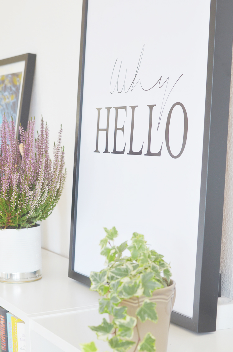 Tipps-Bücherregal-gestalten Kopie