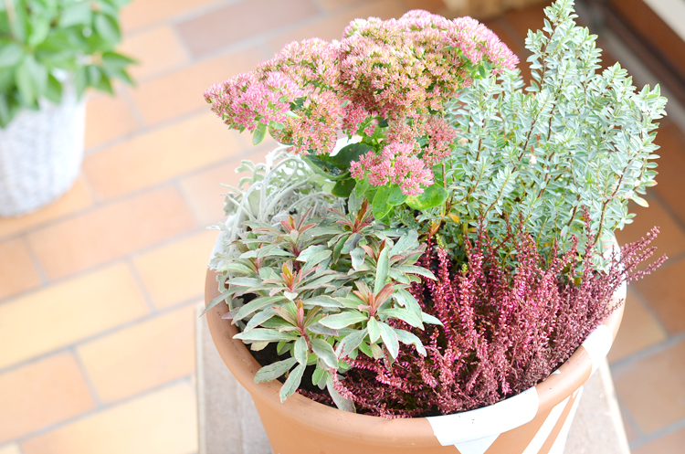 balkon-herbstfit machen
