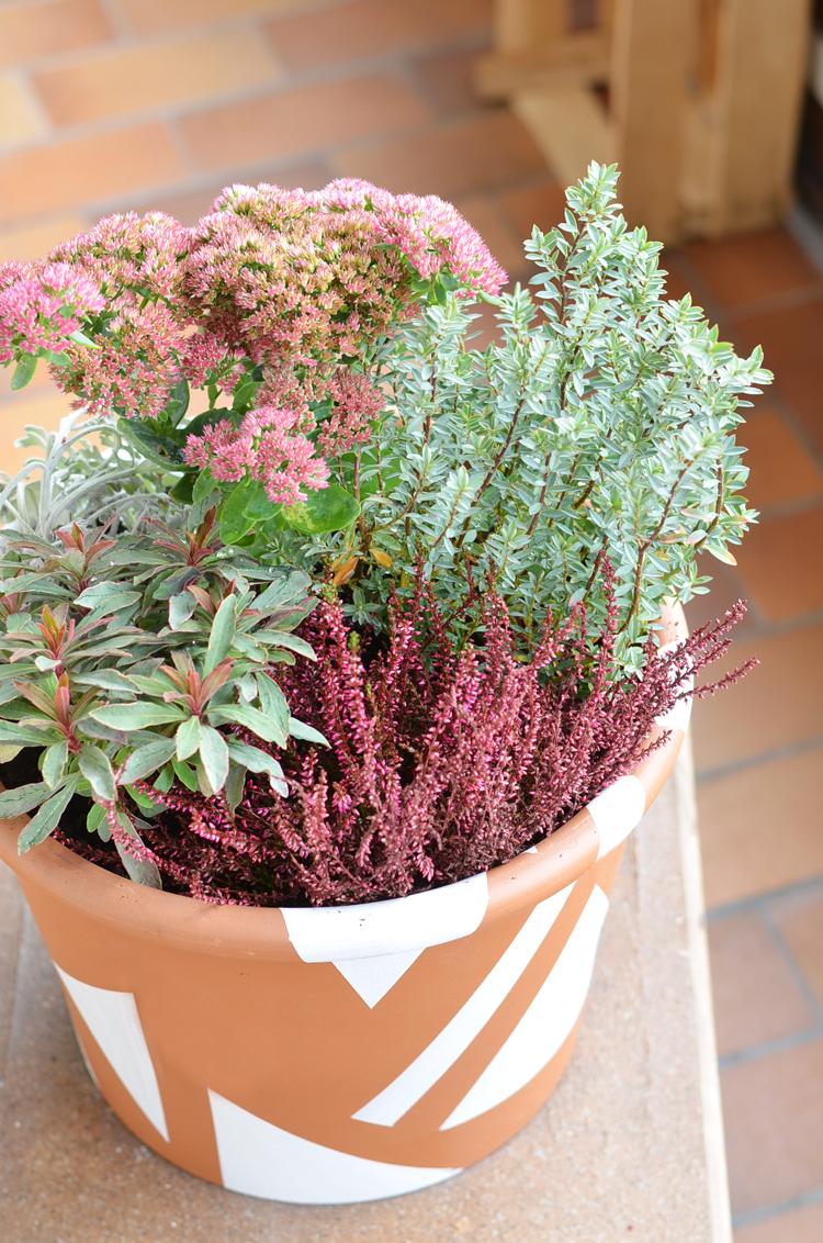 Balkon herbstfit machen mit herbsttopf