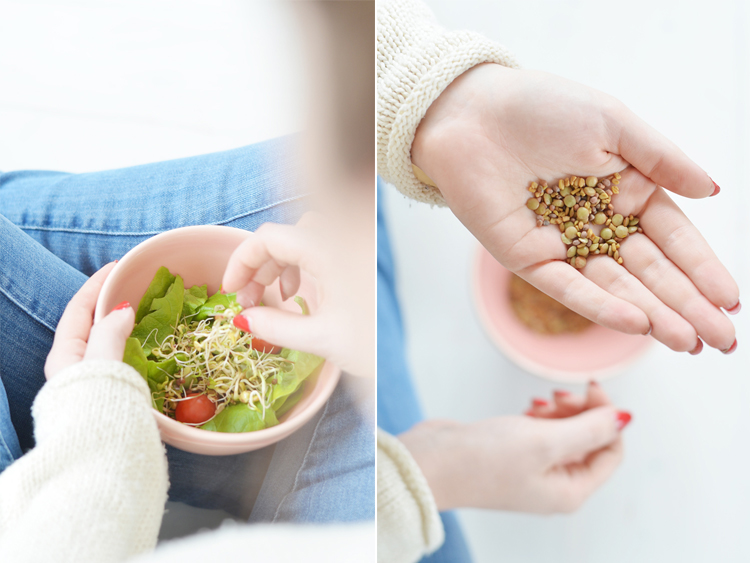 Sprossen züchten Tipps