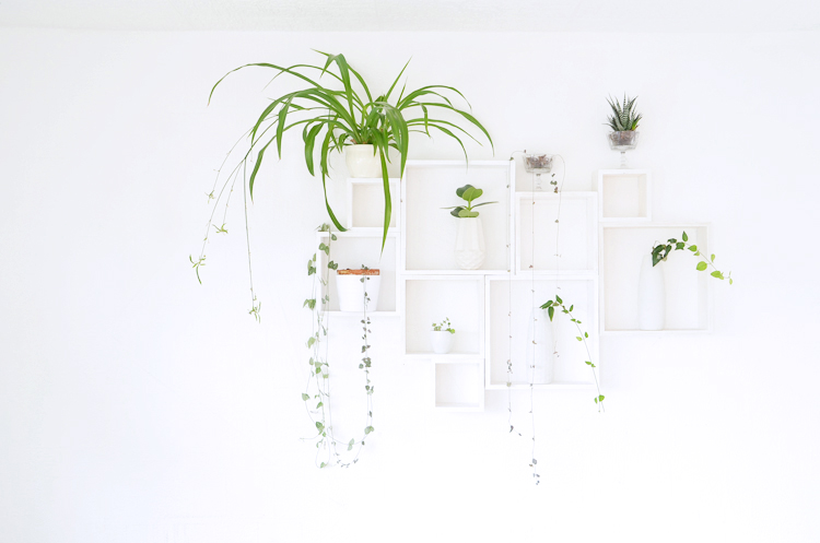 Wandregal aus Vierecken selber machen