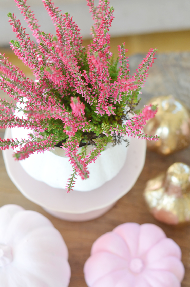 Tischdeko mit kürbissen