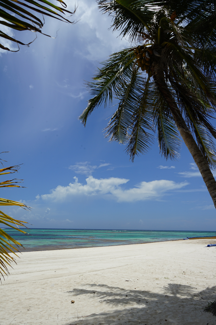 Dominikanische Repubilk auf eigene Faust erkunden