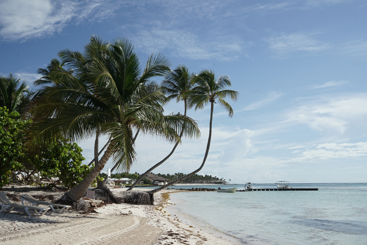 Dominikanische Repubilk auf eigene Faust erkunden