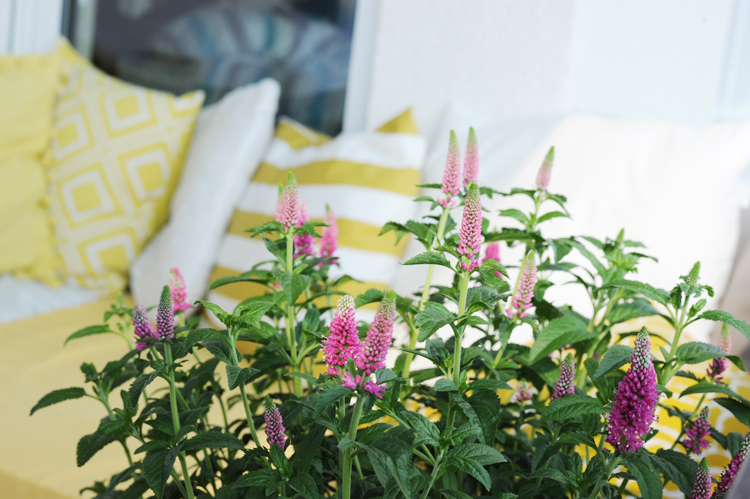 Loungemöbel aus Paletten 