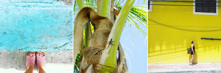 Dominikanische Repubilk auf eigene Faust erkunden