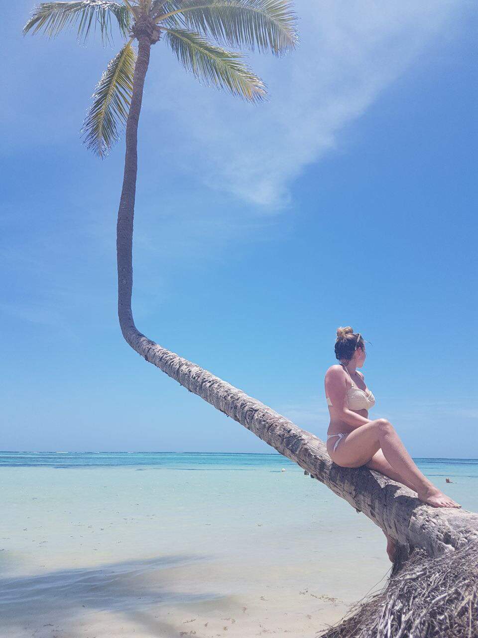 Dominikanische Repubilk auf eigene Faust erkunden