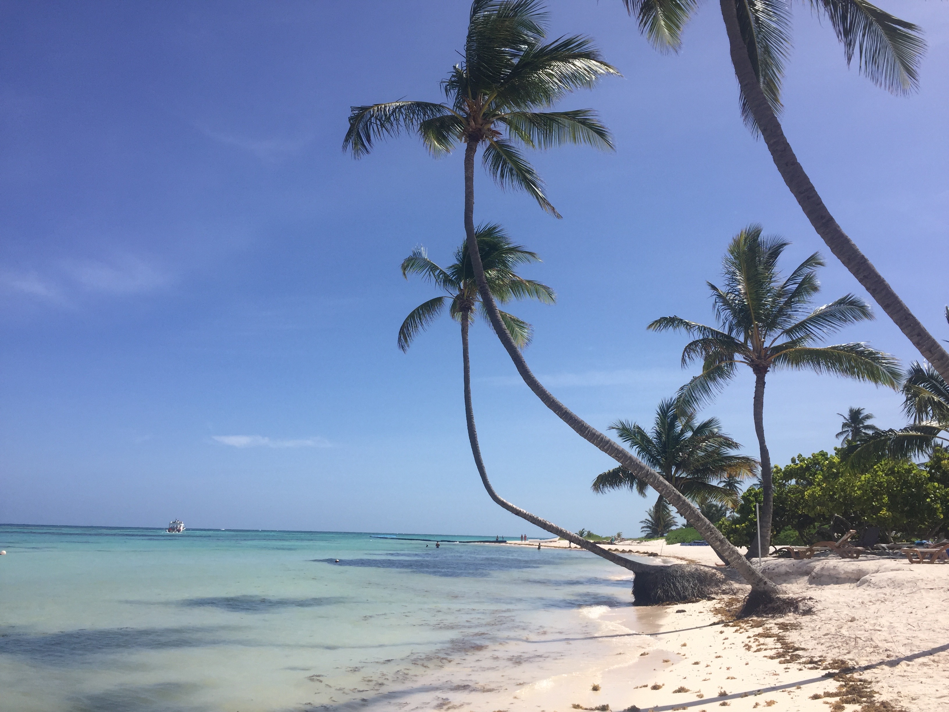 Dominikanische Repubilk auf eigene Faust erkunden