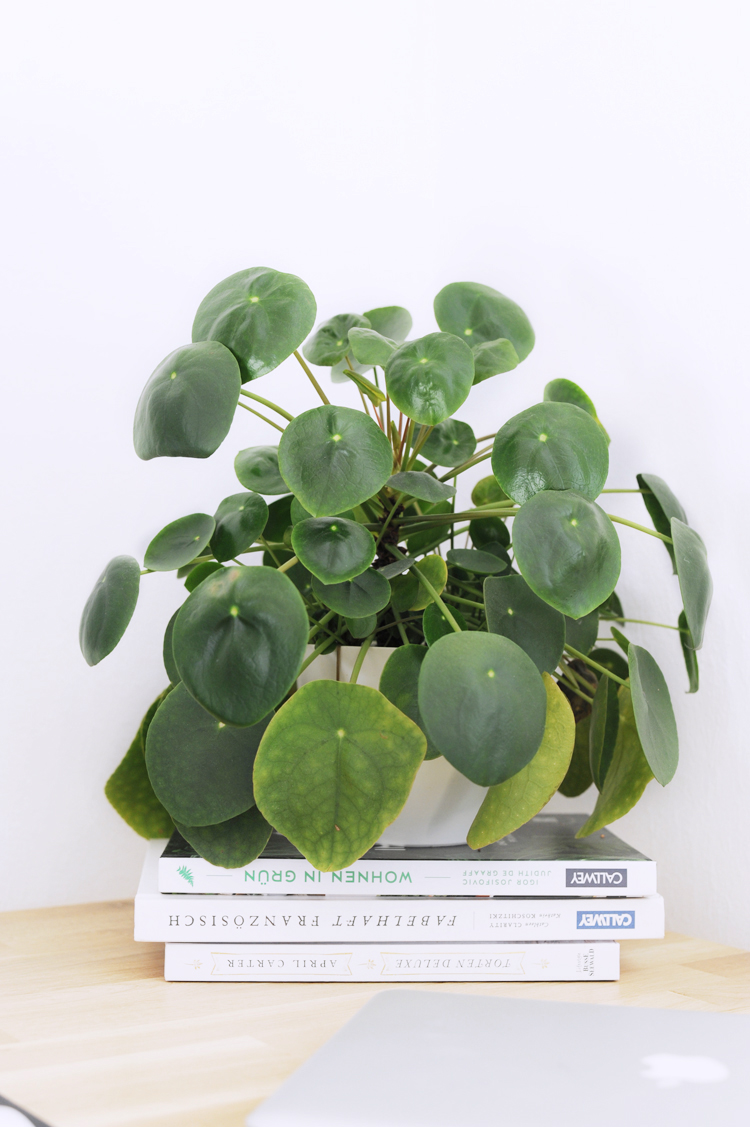 Anleitung: Schreibtisch im Industriestil selber bauen