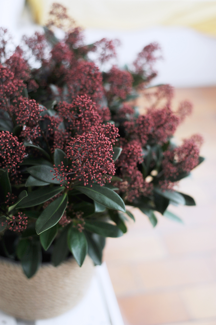 alten Blumentopf mit Garn verschönern