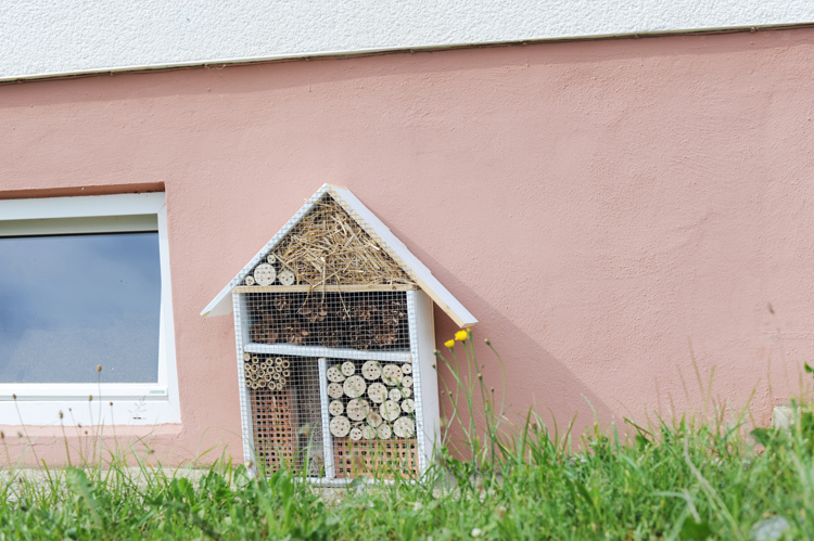 Insektenhotel bauen anleitung kostenlos