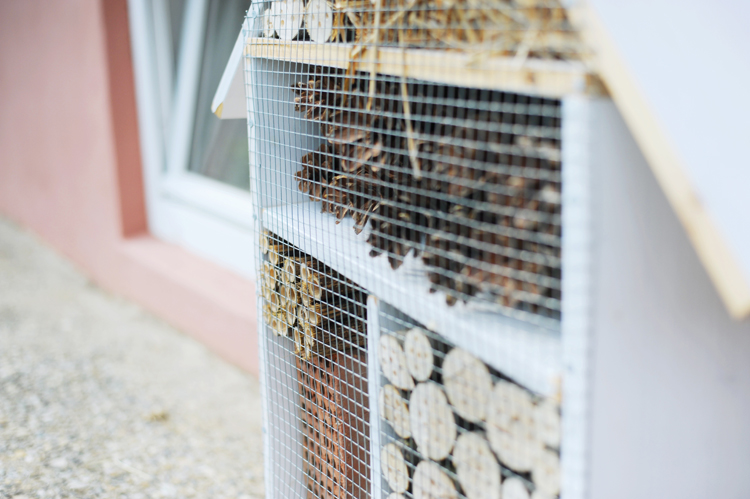 Insektenhotel bauen anleitung kostenlos