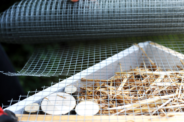 Insektenhotel bauen anleitung kostenlos