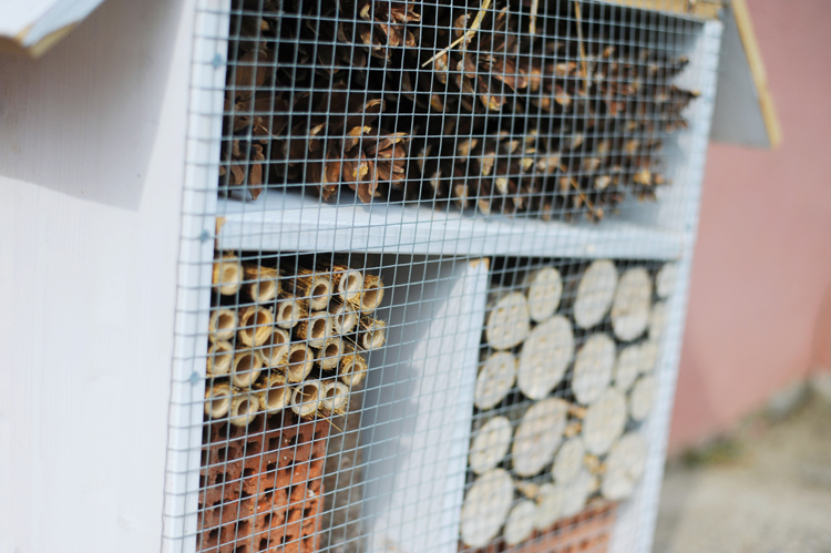 Insektenhotel bauen anleitung kostenlos