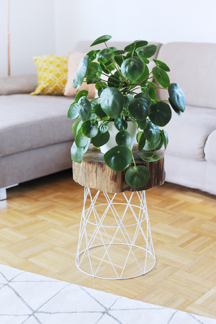 Aus Drahtkorb und Holzscheibe einen Beistelltisch bauen