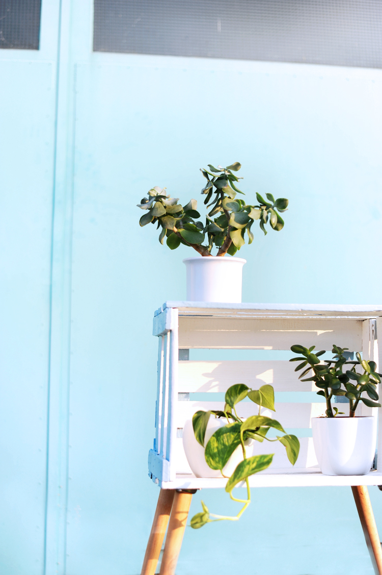 Möbel aus Weinkiste bauen: Tisch im Skandi-Stil