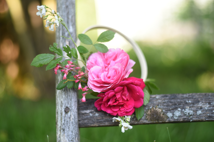 garten-Rosenzeit- Gebundene Deko-Kraenze aus Rosen.-blumenkranz – Bonny