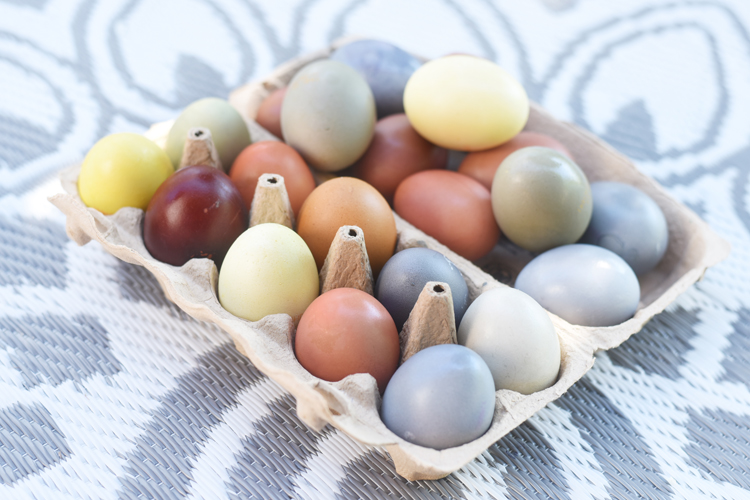 Eier-färben.zwiebelschalen