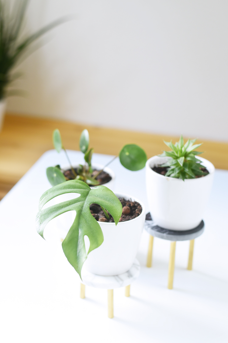 Pflanzenständer DIY