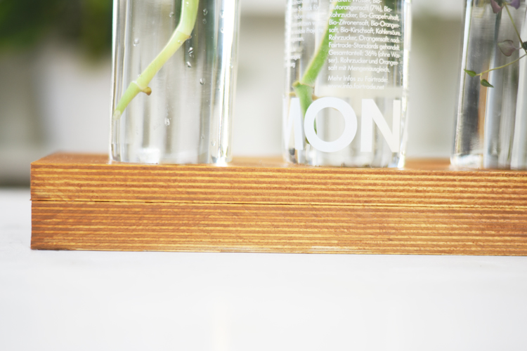 pflanzgefaess-ableger