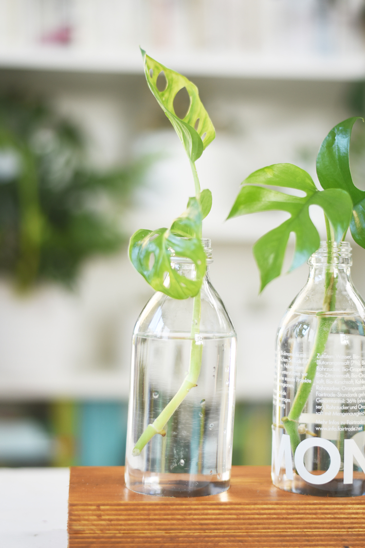 pflanzgefaess-selber-machen