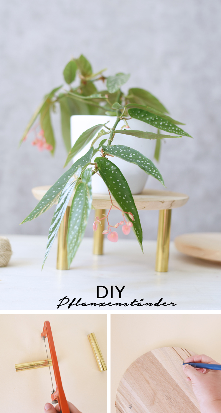 pflanzenstaender-diy-pinterest